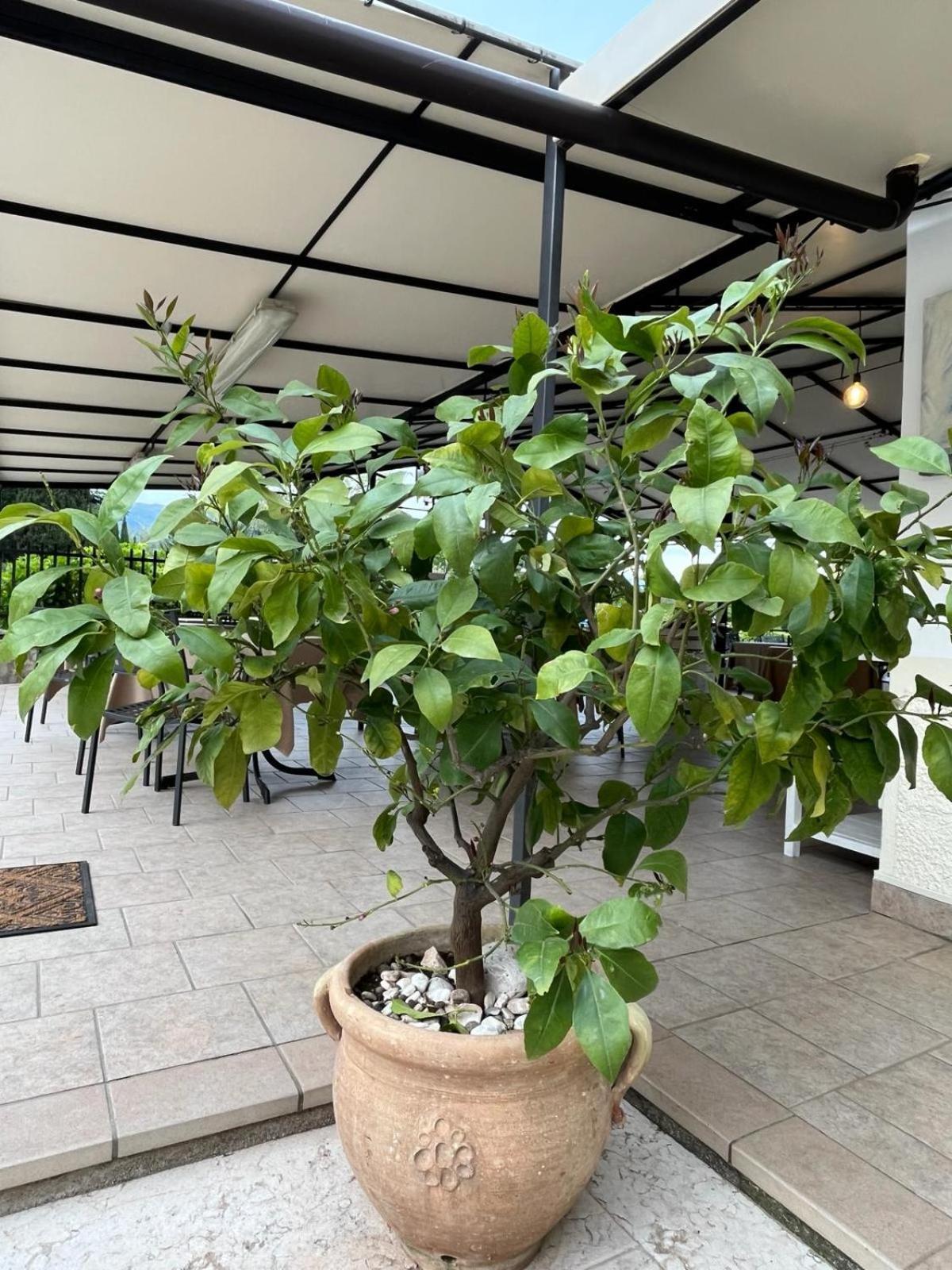 Locanda Moscal アッフィ エクステリア 写真